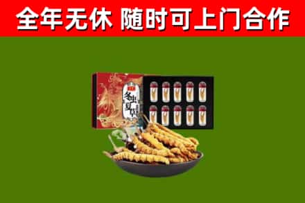 肇庆市回收冬虫夏草价格
